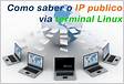 Dica Como saber o IP publico via terminal Linux